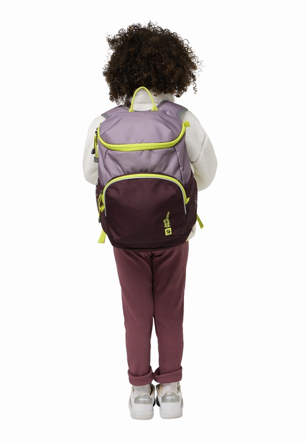 Lavender Men Jack Wolfskin Erlebnis Backpacks | 83412944