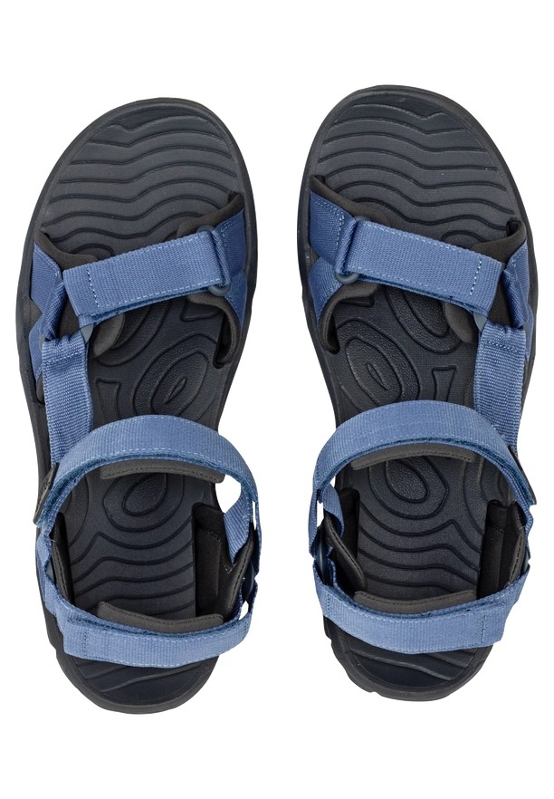 Navy Men Jack Wolfskin Lakewood Ride Sandals | 93792653