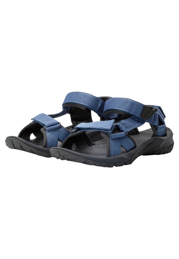 Navy Men Jack Wolfskin Lakewood Ride Sandals | 93792653