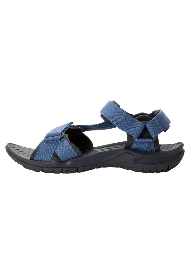 Navy Men Jack Wolfskin Lakewood Ride Sandals | 93792653