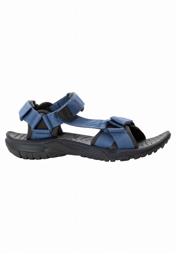 Navy Men Jack Wolfskin Lakewood Ride Sandals | 93792653