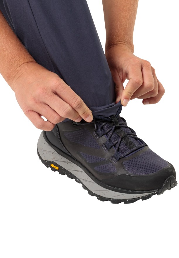 Navy Women Jack Wolfskin Alpine Hiking Pants | 91086134