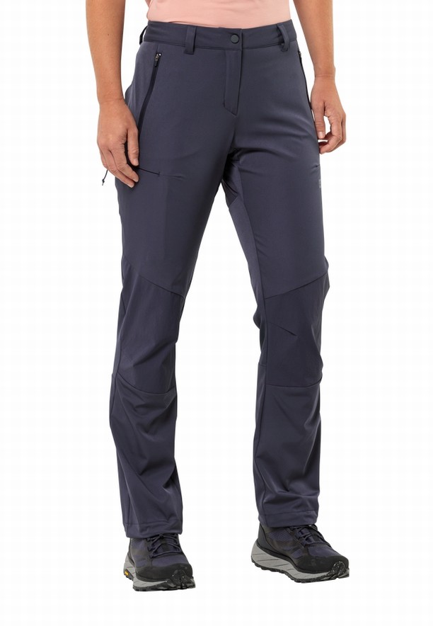 Navy Women Jack Wolfskin Alpine Hiking Pants | 91086134