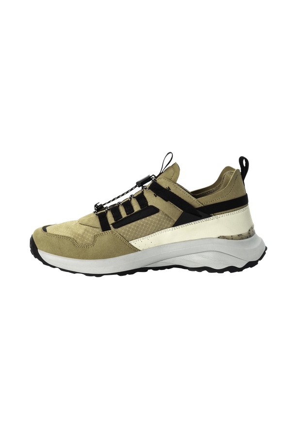 Olive Men Jack Wolfskin Dromoventure Athletic Low Outdoor Shoes | 12519309