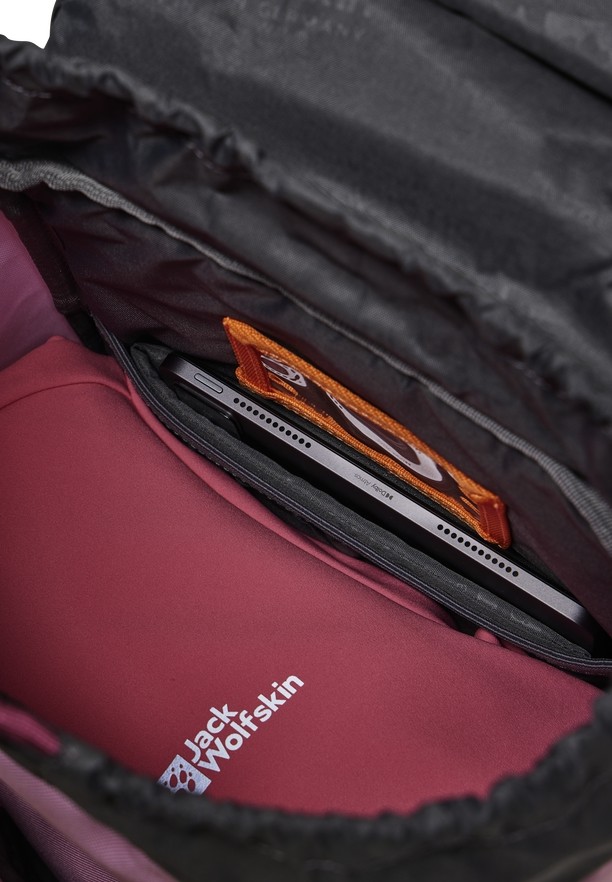 Pink Men Jack Wolfskin Waldspieler 20 Backpacks | 21414266