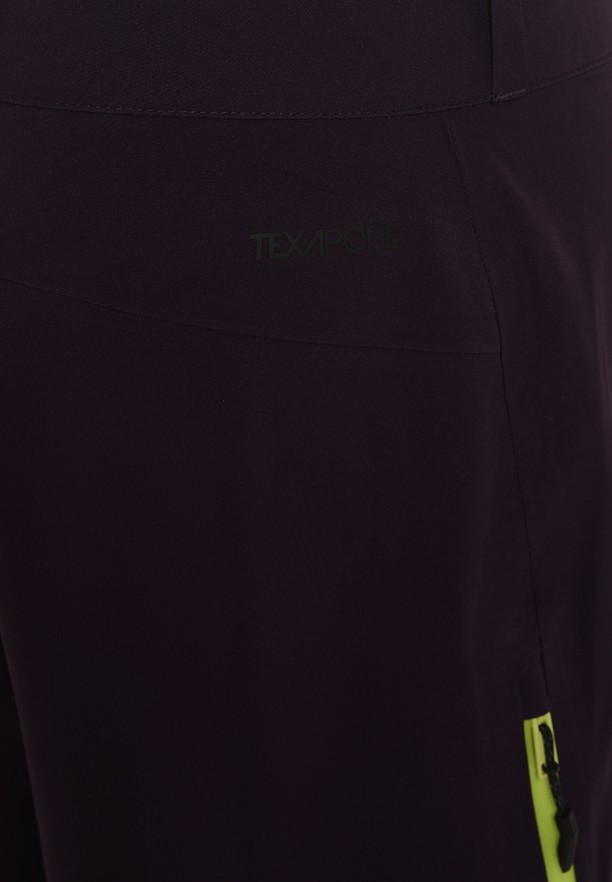 Purple Men Jack Wolfskin Alpspitze Tour 3l Pants | 92116069
