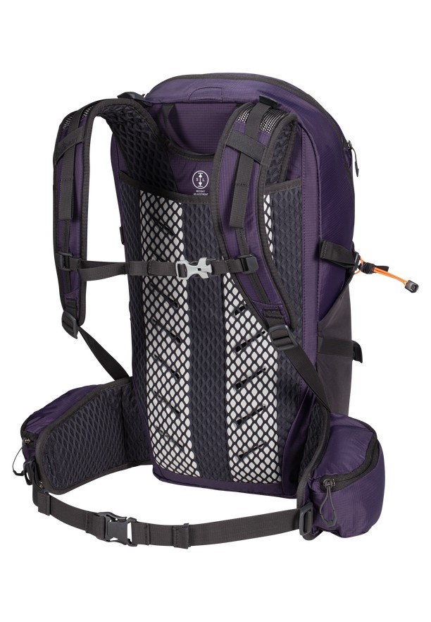 Purple Men Jack Wolfskin Cyrox Shape 25 S-l Hiking Backpack | 91147519