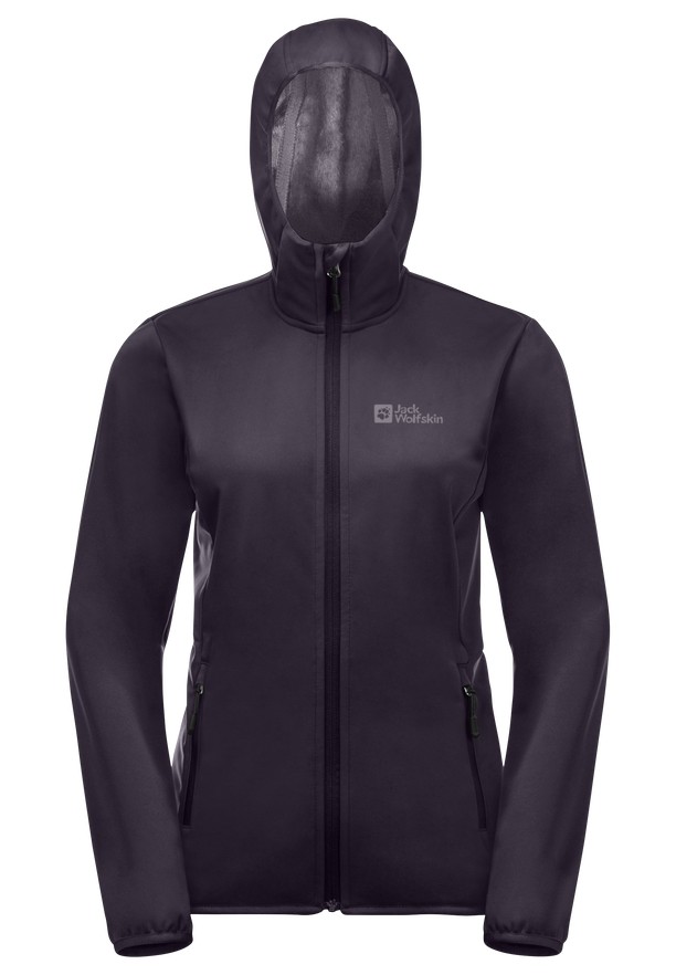 Purple Women Jack Wolfskin Bornberg Hoody Jackets | 57048423