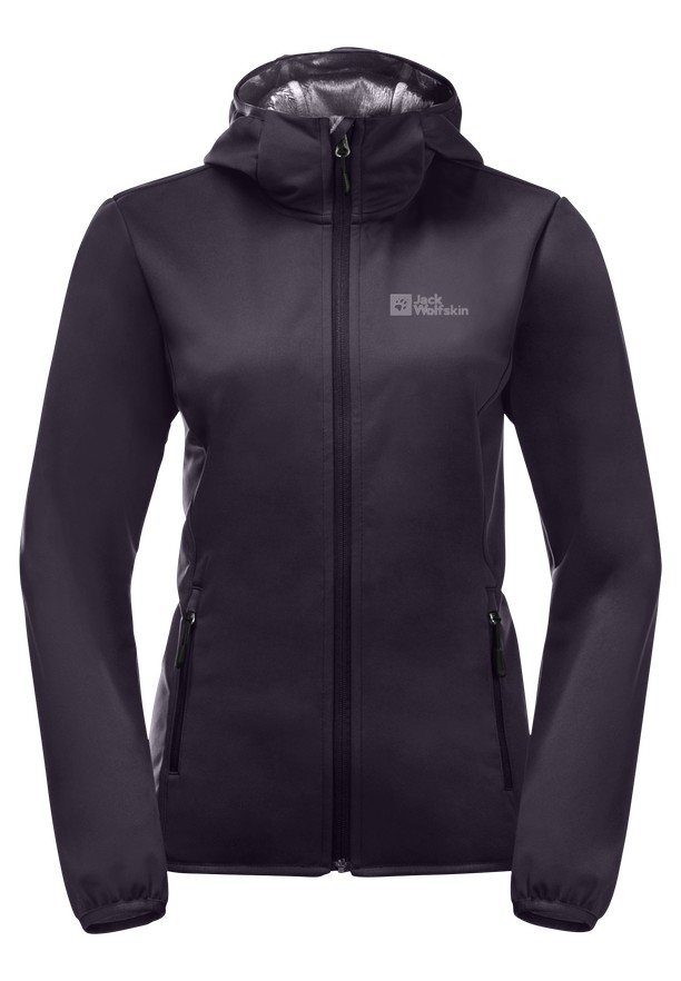 Purple Women Jack Wolfskin Bornberg Hoody Jackets | 57048423