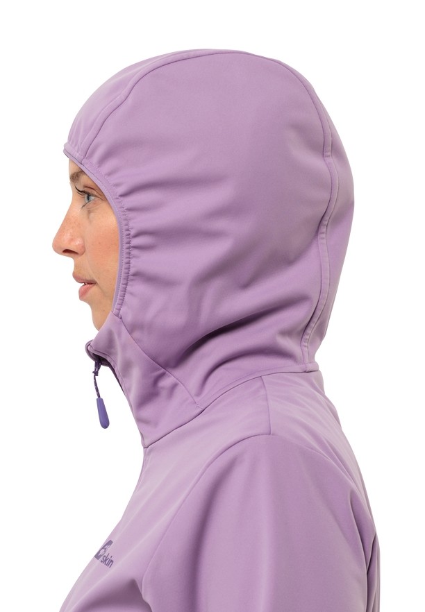 Purple Women Jack Wolfskin Feldberg Hoody Softshell Jackets | 94831052