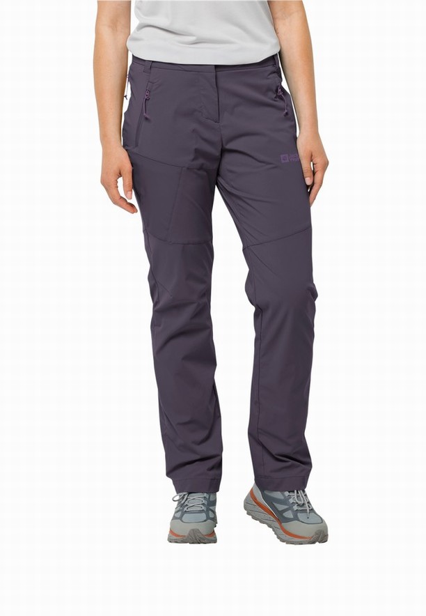 Purple Women Jack Wolfskin Glastal Hiking Pants | 87064038