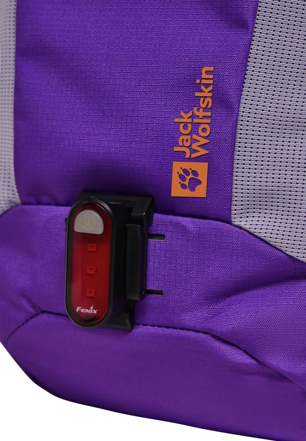Purple Women Jack Wolfskin Moab Jam Backpacks | 83015433