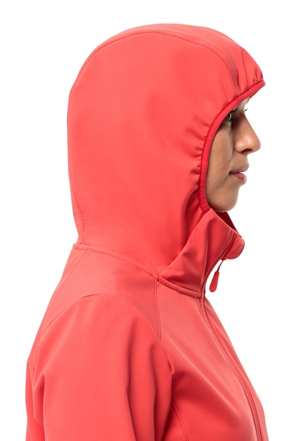 Red Women Jack Wolfskin Bornberg Hoody Softshell Jackets | 29530985