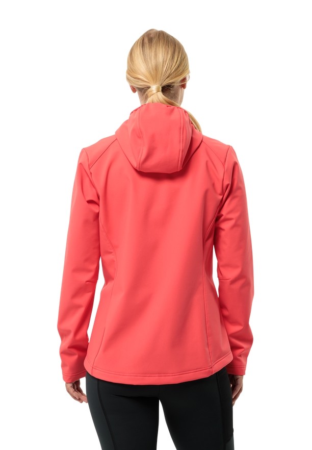Red Women Jack Wolfskin Bornberg Hoody Softshell Jackets | 29530985