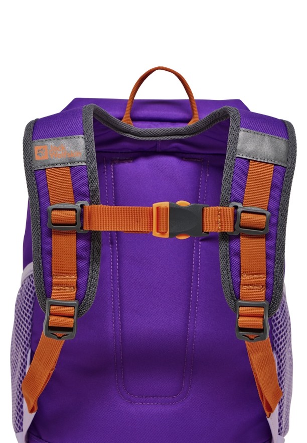 Rose Men Jack Wolfskin Erlebnis Backpacks | 95447604
