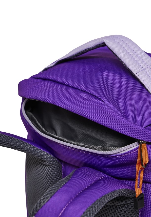 Rose Men Jack Wolfskin Waldspieler 16 Backpacks | 75990479
