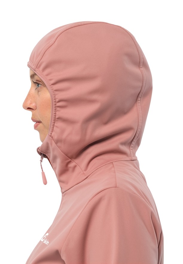 Rose Women Jack Wolfskin Feldberg Hoody Softshell Jackets | 97308729