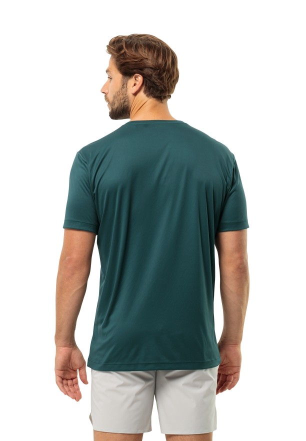 Turquoise Men Jack Wolfskin Peak Graphic T Shirts | 93249798